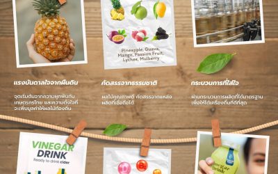 จากสวนสู่ขวด… เรื่องราวที่คุณจะได้สัมผัสของเครื่องดื่ม Vinegar Drink